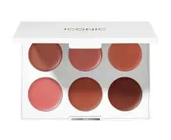 ICONIC LONDON Multi Use Lip And Cheek Palette 6 Shades 