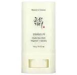 Beauty Of Joseon - Matte Sun Stick Mugwort + Camilia SPF 50