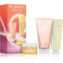 Wishful Glow Trio Kit Get Clean, To Glow, Honey Whip Travel
